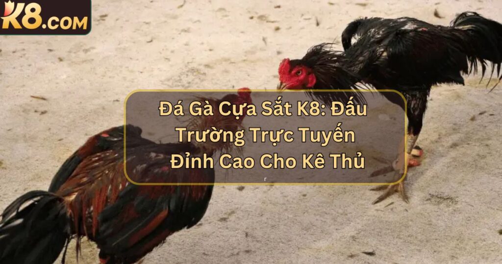 Đá Gà Cựa Sắt K8: Đấu Trường Trực Tuyến Đỉnh Cao Cho Kê Thủ
