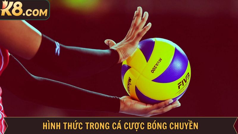  Những hình thức cá cược bóng chuyền hấp dẫn nhất