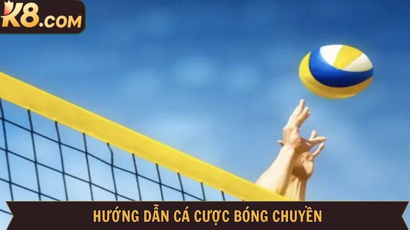 Chỉ dẫn hội viên tham gia cá cược bóng chuyền chi tiết