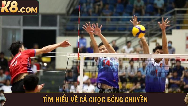 Tìm hiểu sơ lược về hình thức cược bóng chuyền