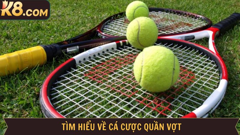 Đôi nét thú vị về cá độ quần vợt